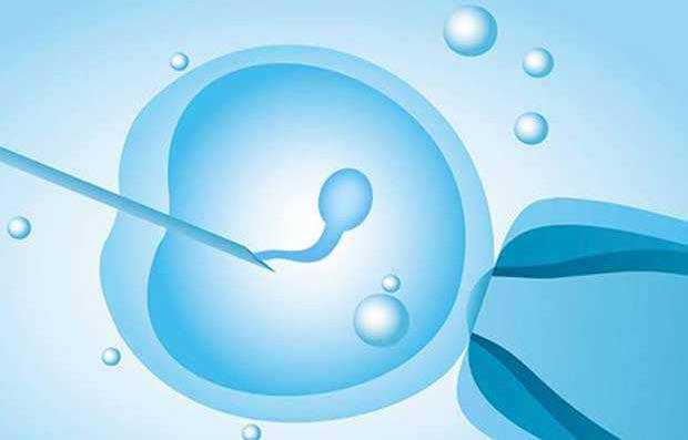 试管婴儿可以让人代生吗,有做试管婴儿移植一个四细胞一级胚胎成功的吗-湘雅
