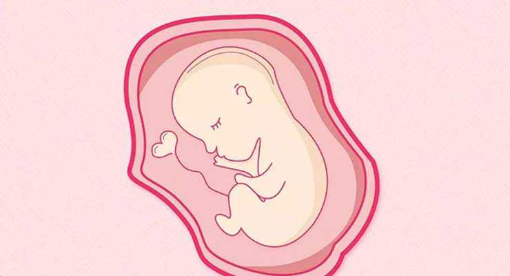 毕节地代孕妈妈扣扣群,哈密姐妹试管婴儿养囊是什么意思？胚胎培养3天和5天的