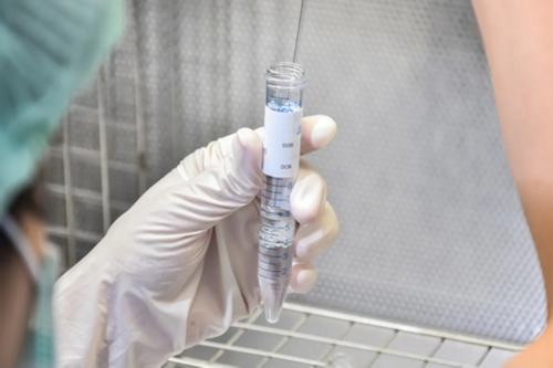 孕期食用花胶的营养需求和潜在益处