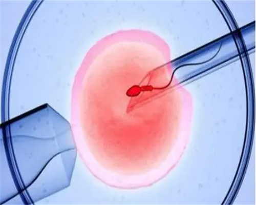 广州代生代怀,试管婴儿三次失败还有必要再做吗？-试管婴儿为什么月经第二天