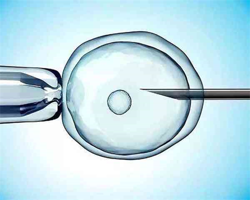 代生代怀,试管婴儿取卵前需要住院吗？-不孕不育供卵试管助孕-试管促排前吃达