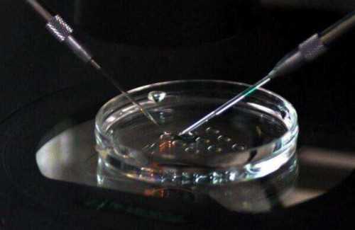 全球生育服务费用概览,国际试管婴儿费用全解析