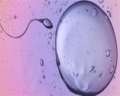 宁波代生,为什么试管婴儿的过程步骤离不开促排卵？_上海供卵试管生子多少钱