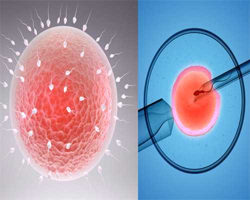 代生费用是多少_代生技术哪家强|江苏徐州供卵试管婴儿医院成功率排名？附医