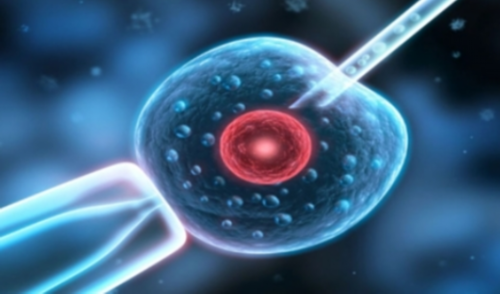 合肥代生代怀,什么情况下要做三代试管？什么人适合做三代试管？-生男生女图