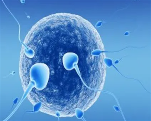 十堰试管的费用多少（代妈试管哪个医院成功率最高）