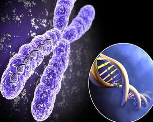 丰胸的最快方法是什么，丰胸的最佳时间