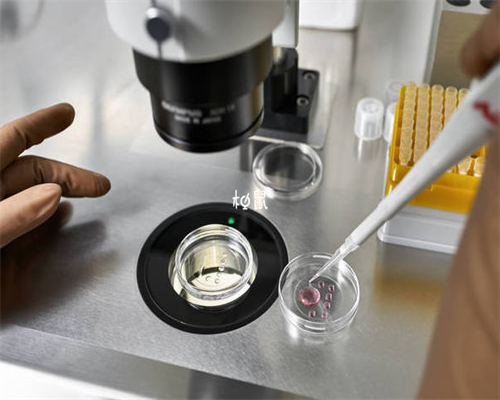 太原代生子,泰州人民医院做试管婴儿的口碑怎么样-试管婴儿男的精子都是畸形