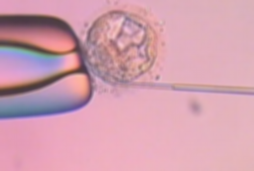 代生子微信群_代生风险|[宝贝的成长]石家庄三代试管供卵多少钱