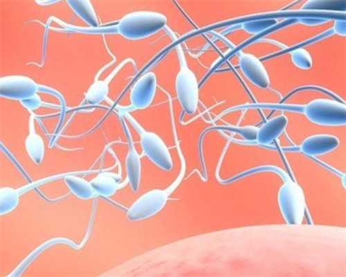 代妈泰国试管婴儿中介公司怎么选？有没有攻略？