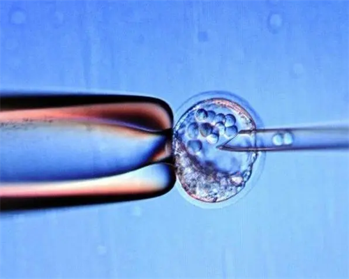 南宁试管代生龙凤胎,北京三代供卵试管医院排名，内含供卵费用明细_移植23天