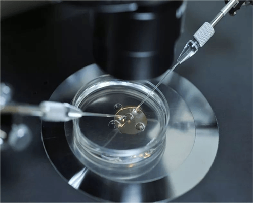 猪蹄炖黄豆的功效，子宫恢复是什么意思