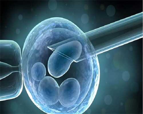 记者暗访代妈试管婴儿中介违法行为80万包生男孩