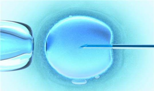 三代生子怎么联系,北京供卵助孕公司试管生男孩排名？_上海供卵中介机构有哪