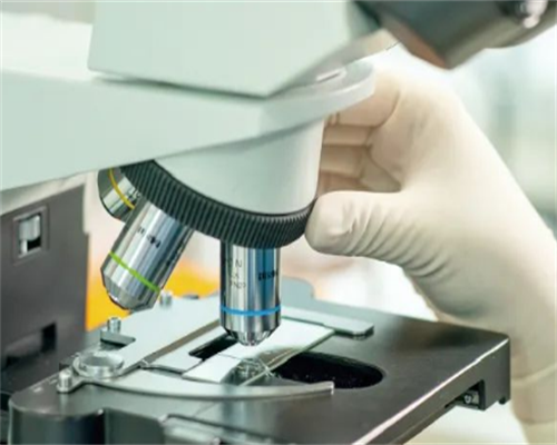 女性健康养护指南书籍下载，掌握养生秘籍！