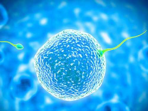 天津试管代生机构,2026年中山三院做三代试管要多少钱吗？中山三院三代试管成