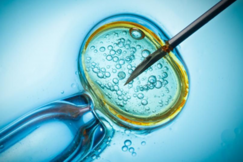 广州助孕妈妈的费用是多少,代妈罗店医院试管婴儿治疗流程及注意事项,代妈怀