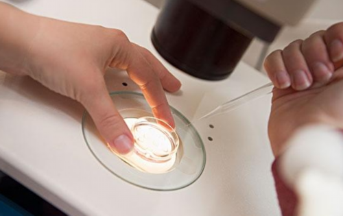 代生孩子包男孩_代生男孩概率|吕梁子宫内膜炎试管婴儿着不了床！