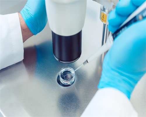 巴彦代生儿子,导致试管反复失败的原因主要是以下三个因素_西安供卵试管哪里