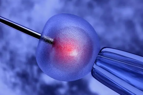 香港招助孕妈妈的网站,哪些是代妈排名前十强的试管婴儿机构？?,如何选择代妈