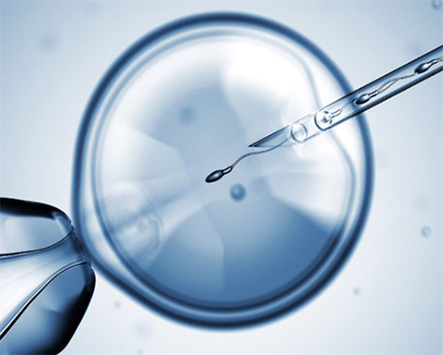 重庆试管婴儿可以找人代生,北京医院做试管婴儿哪家强呢？_人工授精流程及时
