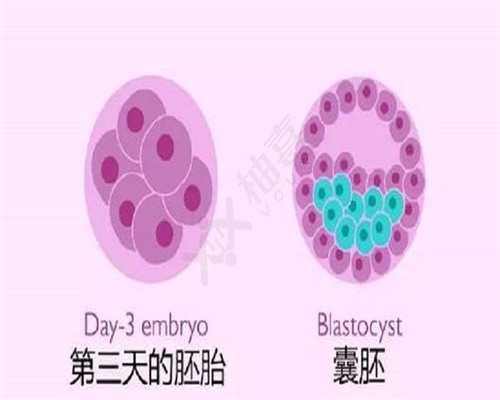 山大生殖三代生殖多钱,因输卵管问题引起的不孕症，去泰国做试管婴儿可行吗