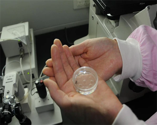 在代妈什么时间做孕期优生优育检查最好,代妈做三代试管婴儿怎么样？