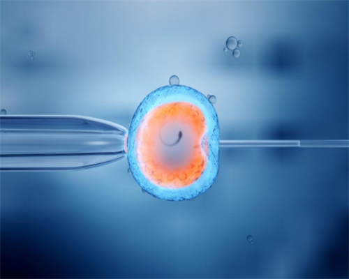 在昆明能找代孕妈妈|鄂州供卵公司多少钱（北京代妈最高报酬多少）-试管婴儿