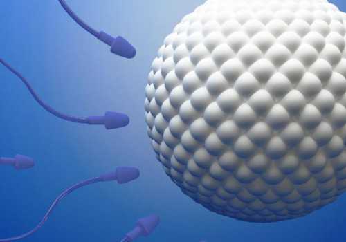 重庆试管婴儿可以找人代生,输卵管两侧轻度粘连，考虑盆腔轻度粘连，有必要