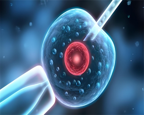 泰国代生价格,做试管婴儿为什么要补充孕酮？孕酮低是否意味着容易流产？_上