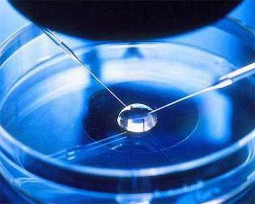 代妈血型需要与胎儿血型一致吗,影响代妈试管婴儿费用的因素有哪些？,代妈试