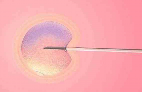 怎么代生,【供卵试管生出来的孩子亲吗】把我的经历说出来希望对在备孕的姐