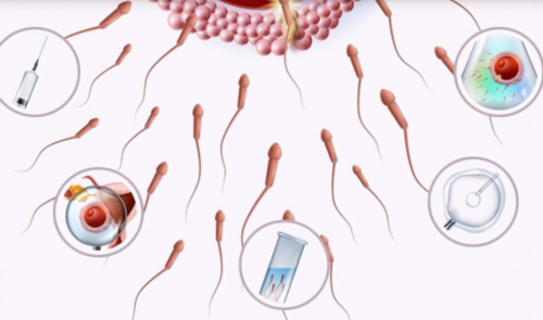 在代妈做试管婴儿需要注意哪些问题？,想知道代妈三附院哪个医生做第二代试