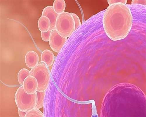 代妈医院做三代试管包生男孩贵吗？需要多少钱