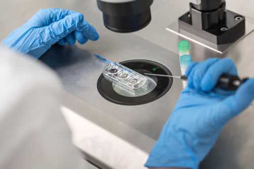 福州试管代生机构,沈阳供卵医院地址（北京供卵哪家医院好）-短方案需要住院