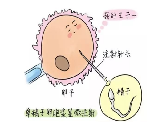 试管助孕代生,试管婴儿女人要承受多少痛苦？子宫异常有影响吗？-试管怀孕后