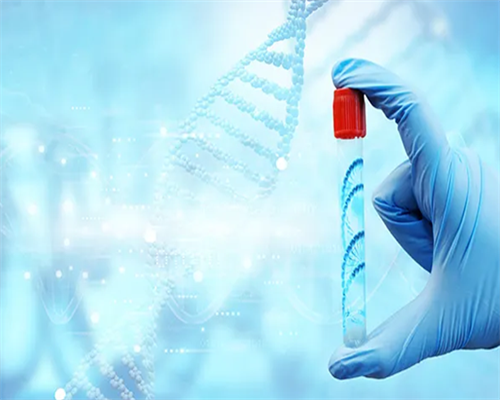 代妈有私人做试管吗？,代妈同济生殖中心钱坤做试管移植的成功率高吗？