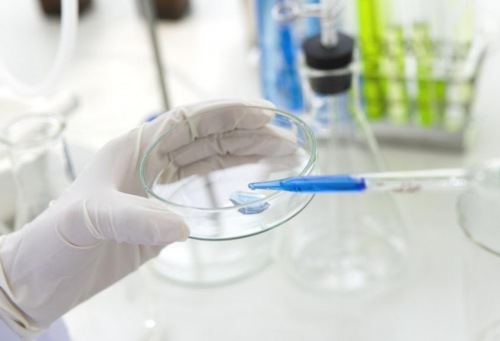 分享妙招：巧用鸡蛋除去产后妊娠纹