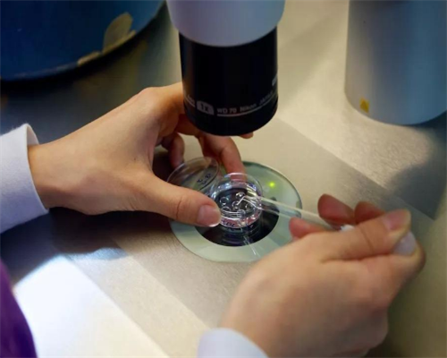 代生服务公司_代生公司哪家正规|北京助孕公司是做什么的_正规三代试管机构