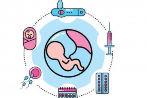 代妈人民医院三代试管费用收取标准表,代妈试管技术助孕费用明细表