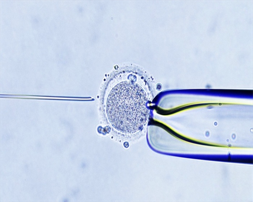 北京代妈助孕机构地址,代妈有试管包生儿子的医院吗,代妈民间私立的供卵机构