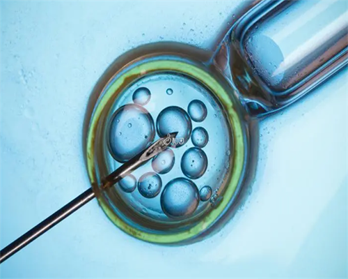 代妈女性不孕常规检查多少钱,代妈举办首届不孕不育医学高峰论坛