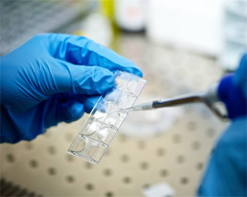 双胞胎后代生双胞胎的几率,北京供卵医院做试管婴儿费用多少？-试管成功率