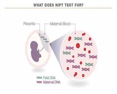 找个代生娃儿,试管婴儿移植六次失败，会这样一直反复失败吗？_上海供卵试管