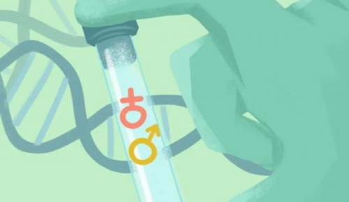 试管代生机构,输卵管粘连做泰国试管婴儿助孕需要好多钱？-怀孕多久抽血检查