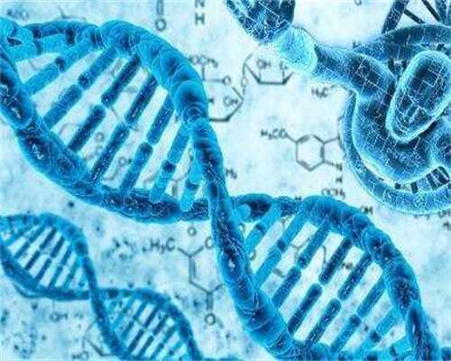 代妈哪家医院提供的试管婴儿价格较为便宜？?