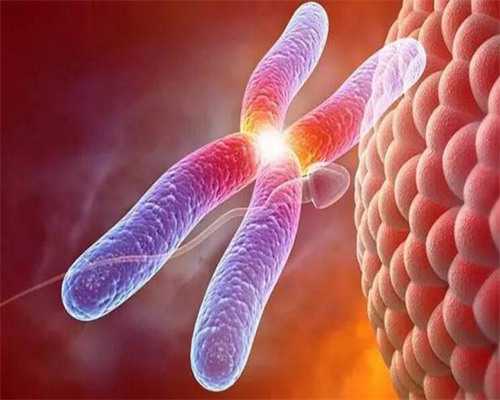 代妈三代试管婴儿技术安全吗？,代妈哪家试管婴儿医院成功率高？是红房子医