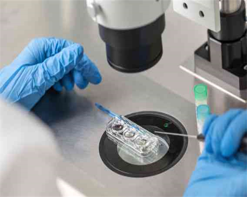 代生子最低多少钱_代生子要多少钱|佛山供卵试管婴儿的医院：佛山供卵试管婴