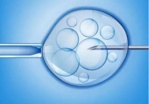 请问您想了解关于供卵黑中介的靠谱程度及联系方式的相关内容吗?