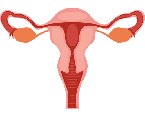 妈妈帮女儿代孕|试管代妈是怎么做的？哪里有需要代妈？-试管移植吃阿司匹林